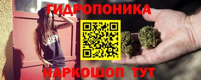 эйфоретик Новодвинск