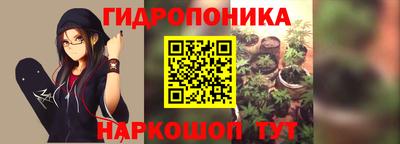 эйфоретик Новодвинск