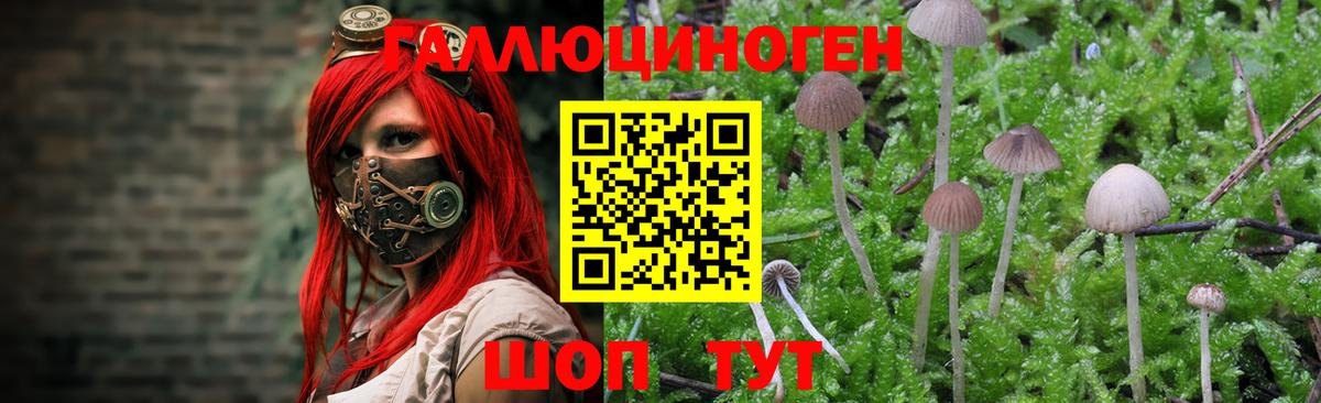 Псилоцибиновые грибы ЛСД  Вход с VPN  Татарск 